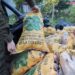 SAG y Carabineros decomisan 300 kilos de papas argentinas ingresadas clandestinamente al país
