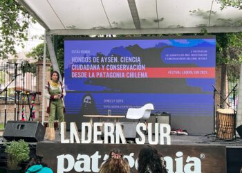 Los Hongos de Aysén estuvieron presentes en importante Festival Naturalista
