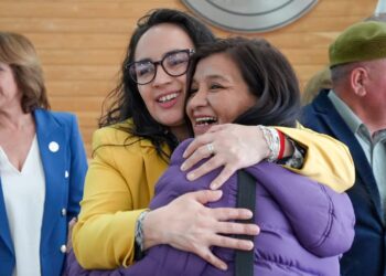 La segunda es la vencida: Plenario del Consejo Regional aprueba por mayoría absoluta el proyecto de buses eléctricos para Coyhaique