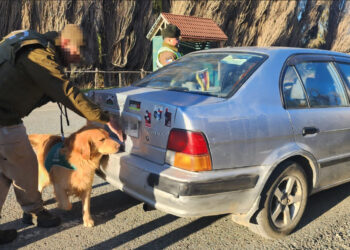 Carabineros de OS-7: 50 años de investigación y prevención del consumo de drogas en Chile