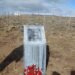 Vandalizan placa de monolito fronterizo dedicada a Detenidos Desaparecidos en Coyhaique Alto
