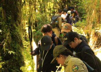 Una nueva versión de la “Ranita de Darwin” se realizó en el Sector Angostura del Parque Queulat