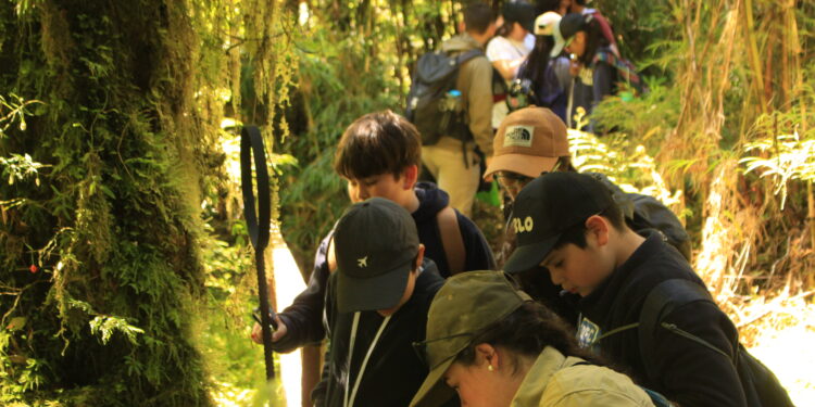Una nueva versión de la “Ranita de Darwin” se realizó en el Sector Angostura del Parque Queulat