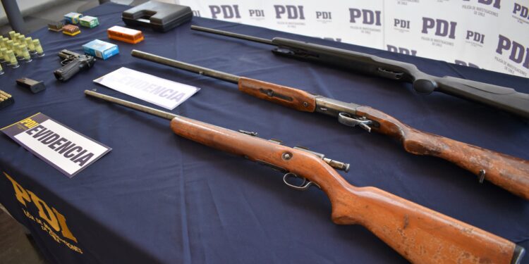 PDI incauta cuatro armas y más de 300 cartuchos en sector rural de Coyhaique