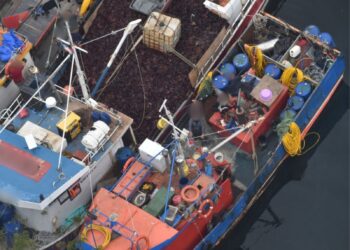 Fiscalización aérea por parte de Sernapesca Aysén permitió detectar 125 embarcaciones operando de manera ilegal durante el 2023