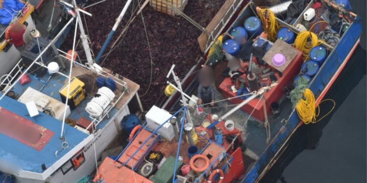Fiscalización aérea por parte de Sernapesca Aysén permitió detectar 125 embarcaciones operando de manera ilegal durante el 2023