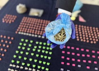 Investigación coordinada entre PDI y Fiscalía detiene a cuatro imputados y logra incautar ketamina, éxtasis, cocaína y cannabis