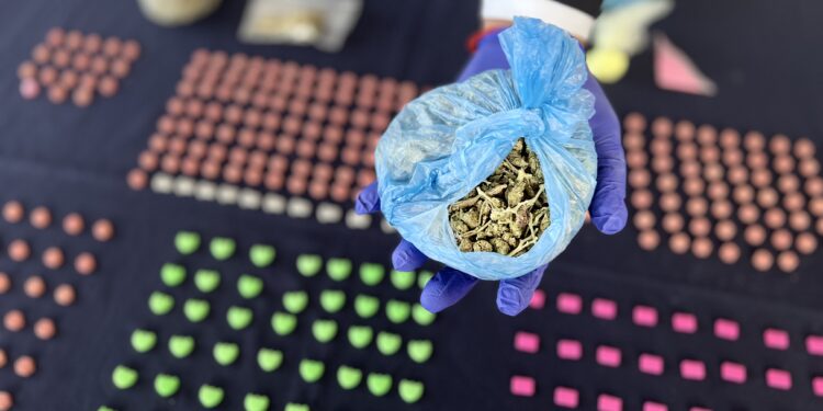 Investigación coordinada entre PDI y Fiscalía detiene a cuatro imputados y logra incautar ketamina, éxtasis, cocaína y cannabis
