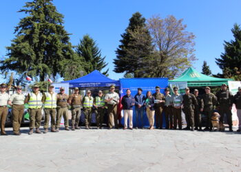 Gobierno lanza campaña “Prevención en fiestas de fin de año: la seguridad es un esfuerzo colectivo”
