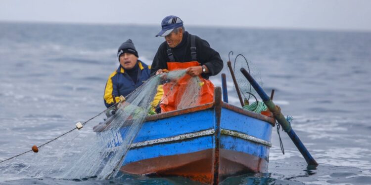 Proyecto sobre Nueva Ley de Pesca que busca mayor transparencia y equidad en el sector se encuentra firmado y listo para su ingreso al Congreso Nacional