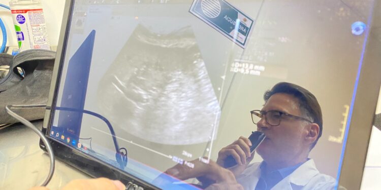 Operativo en Cochrane y Chile Chico reduce lista de espera en ecografía mamaria y abdominal en un 80%