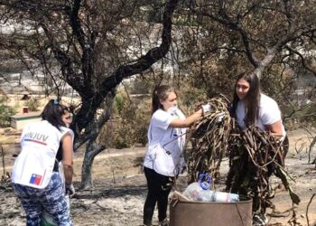 Seremi de Desarrollo Social y Familia, INJUV y SENAPRED invitan a la comunidad a participar de cursos gratuitos y certificados en Formación de Voluntariado de  Emergencia