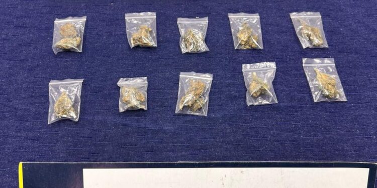 PDI detiene a dos sujetos por microtráfico de drogas en Puerto Aysén