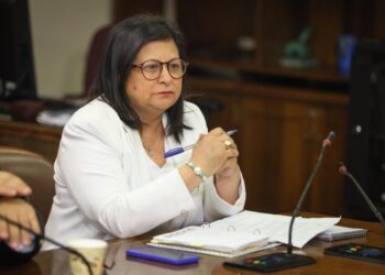 Raphael: “La reforma educacional fue un fracaso y acrecentó la desigualdad”