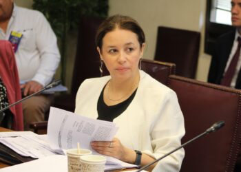 Senadora Órdenes recalcó que el debate sobre la reforma debe estar centrado en mejorar las pensiones