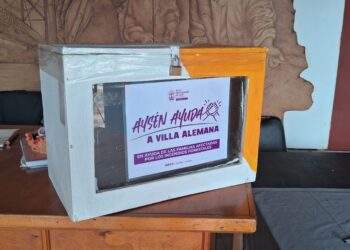 Por incendios forestales: Municipalidad de Aysén realiza campaña para auxiliar a Villa Alemana