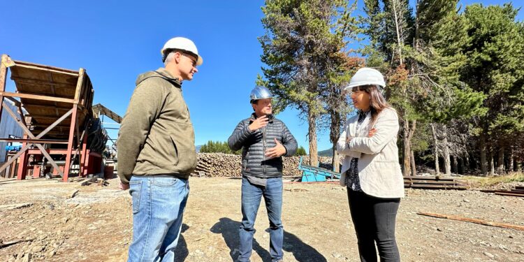 Un 80% de avance presenta construcción de planta de pellet de Coyhaique