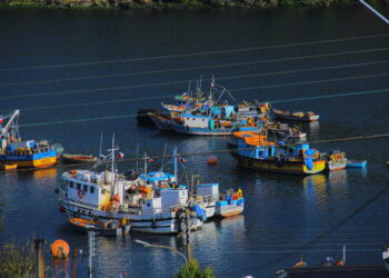 Nuevas artes y aparejos e indumentaria para tripulantes: Las dos nuevas líneas del Programa de Fomento y Diversificación de la Pesca Artesanal de Aysén