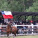 Cochrane comió, bailó y celebró con orgullo el XXIV Encuentro Costumbrista