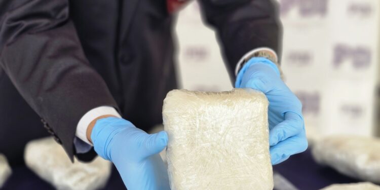 Desarticulan banda de narcotraficantes en Aysén