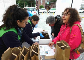 Empresas Bahamonde destaca su compromiso ambiental en la Feria Expo Mes de la Mujer en Puerto Aysén