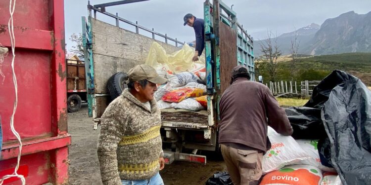 Un grupo de 15 productores del sector Alto Mañihuales de Coyhaique fueron beneficiados por el programa de créditos del Instituto de Desarrollo Agropecuario (INDAP) del Ministerio de Agricultura.