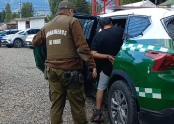 Detenido por Robo en Clínica Veterinaria Municipal de Coyhaique