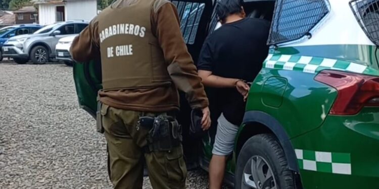 Detenido por Robo en Clínica Veterinaria Municipal de Coyhaique