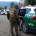 Detenido por Robo en Clínica Veterinaria Municipal de Coyhaique