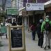 Desafío de los Trastornos Bipolares: Diagnóstico oportuno y tratamiento adecuado