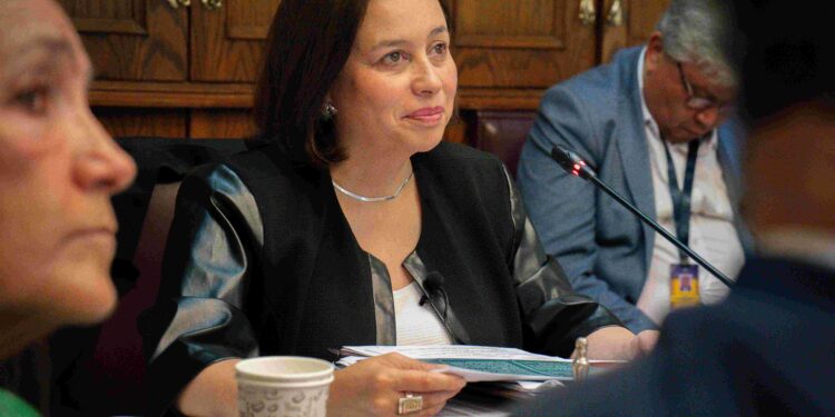 Senadora Órdenes destacó los avances legislativos de 15 leyes en derechos de las mujeres desde que inició su mandato