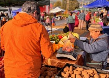 Entrega de elementos y promoción del Fondo para Ferias Libres en Coyhaique