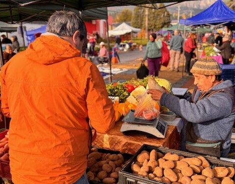 Entrega de elementos y promoción del Fondo para Ferias Libres en Coyhaique