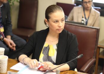 Senadora Órdenes sobre costos asociados al incremento de licencias médicas: “estamos hablando de 10 hospitales como el que se construyó en Chile Chico”