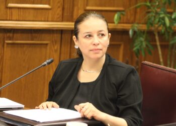 Crean el Plan Nacional Digital: Senadora Órdenes destacó que en Chile el acceso a Internet será garantizado por ley