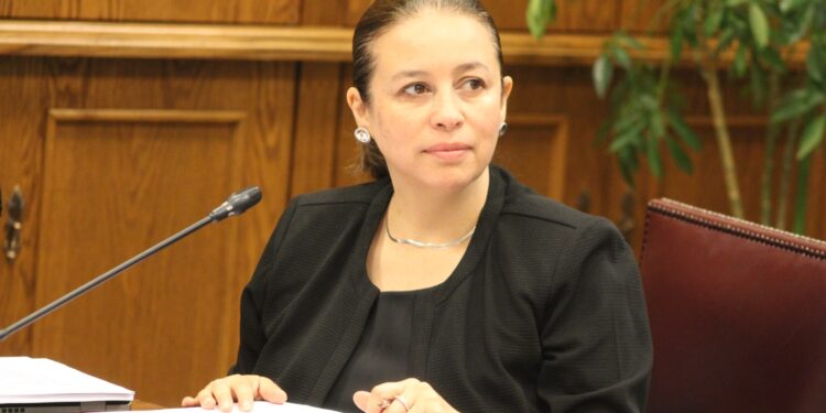 Crean el Plan Nacional Digital: Senadora Órdenes destacó que en Chile el acceso a Internet será garantizado por ley