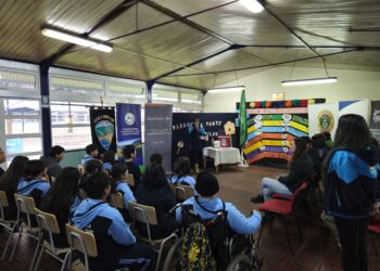 Alianza por el Medio Ambiente: Creación de Espacio Seguro para Reciclaje de Pilas en Puerto Aysén