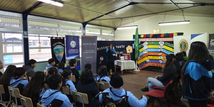 Alianza por el Medio Ambiente: Creación de Espacio Seguro para Reciclaje de Pilas en Puerto Aysén