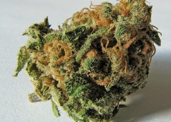 Fiscalía logra prisión preventiva para tres imputados por tráfico de drogas