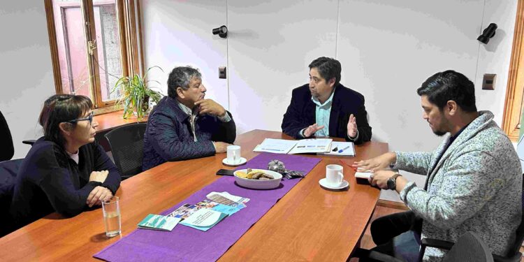 Seremi de Minería organiza diálogo con parlamentarios de la región.