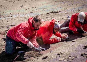 Lanzamiento del Geoportal Ciencia Austral: Promoviendo la colaboración científica y ciudadana en la Macrozona Austral