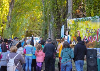 INIA impulsa potencial vitivinícola en la Patagonia chilena con una expo vendimia en Chile Chico