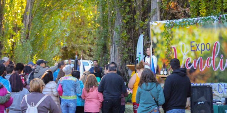 INIA impulsa potencial vitivinícola en la Patagonia chilena con una expo vendimia en Chile Chico