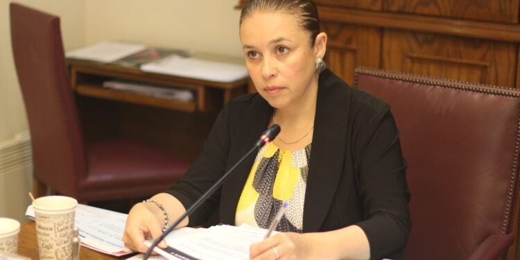 Acceso a internet como Servicio Público: Senadora Órdenes destacó apoyo transversal a la iniciativa