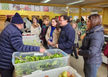 Éxito en proyecto de horticultores de Río Claro y Coyhaique Bajo gracias al programa Emprendamos Grupal