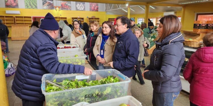 Éxito en proyecto de horticultores de Río Claro y Coyhaique Bajo gracias al programa Emprendamos Grupal