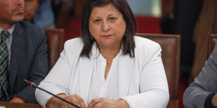 Diputada Raphael solicita al gobierno facilitar acceso al subsidio eléctrico ante inminente alza de tarifas