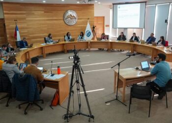 Consejo Regional de Aysén aprueba cuantiosos recursos en el plenario del pasado miércoles