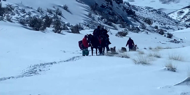 COGRID coordina plan de acción para enfrentar invierno en Aysén