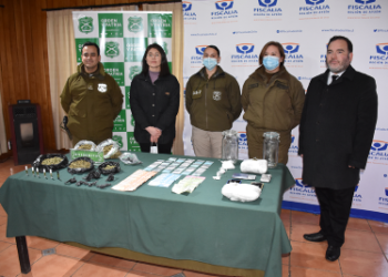 Coyhaique: Carabineros y Fiscalía decomisan cocaína, ketamina y marihuana